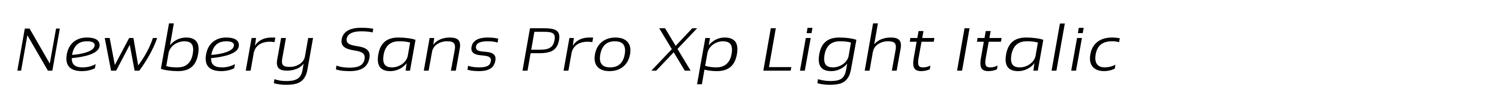 Newbery Sans Pro Xp Light Italic